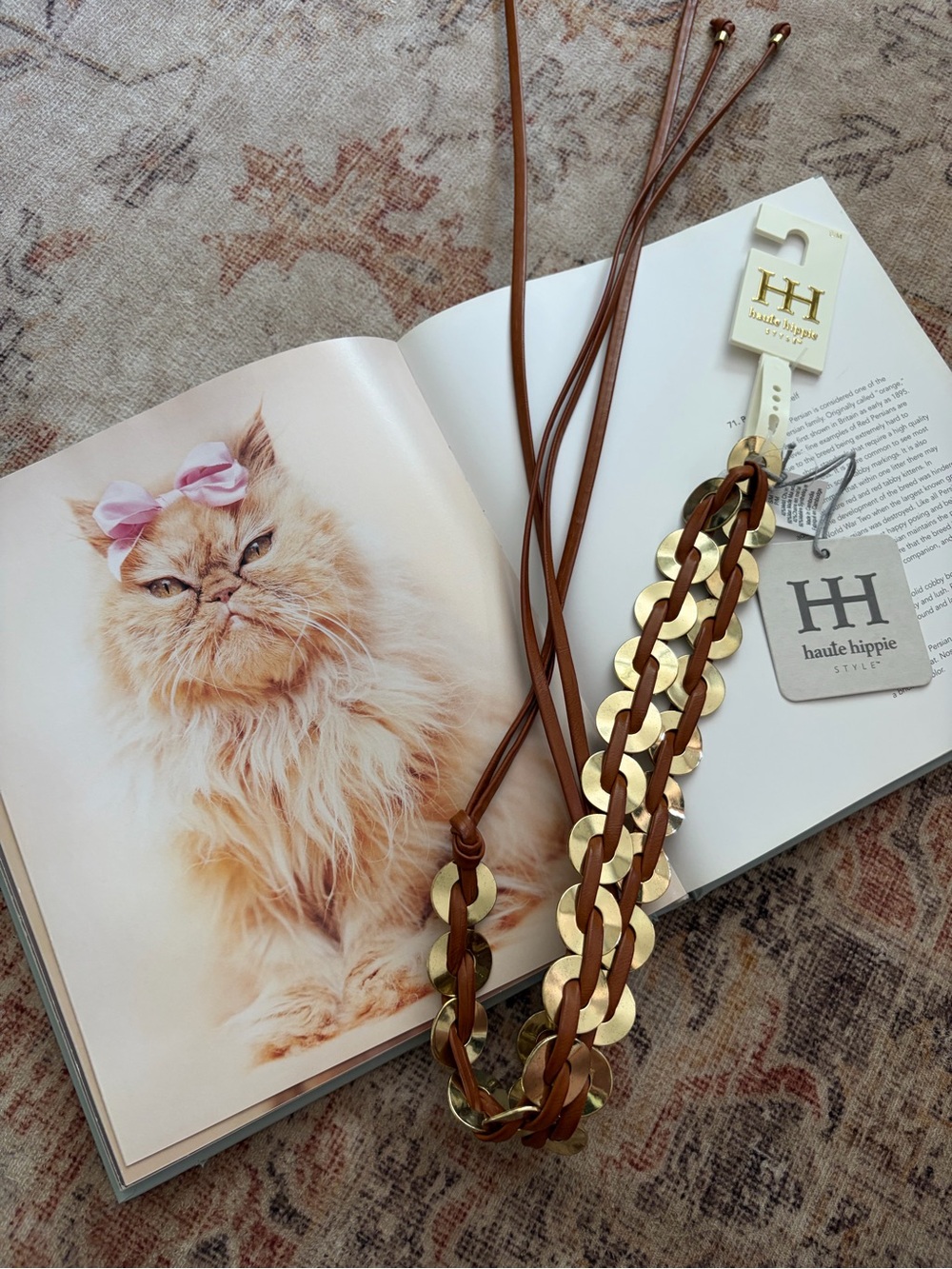 Haute Hippie Brown and Gold Braided Leather Belt